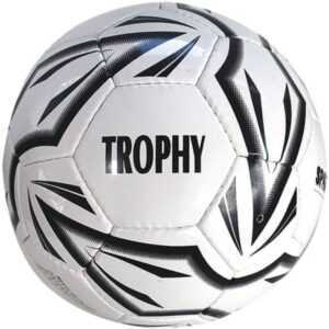 Spartan Fotbalový míč SPARTAN Trophy vel. 5